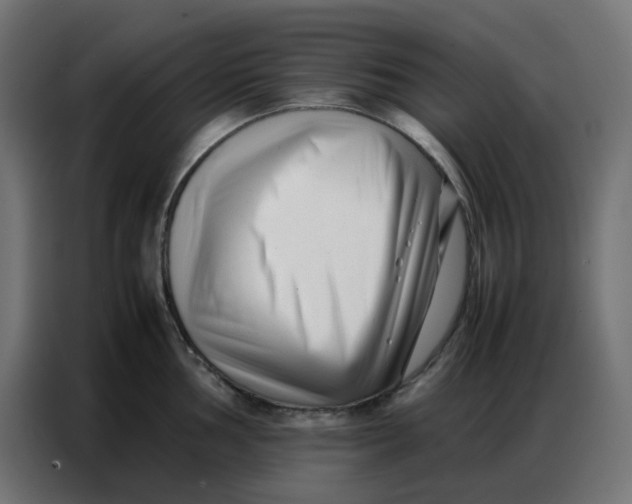 X0000086741002200705041404