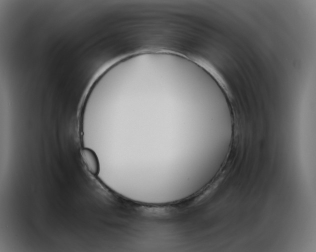 X0000086741004200705041404