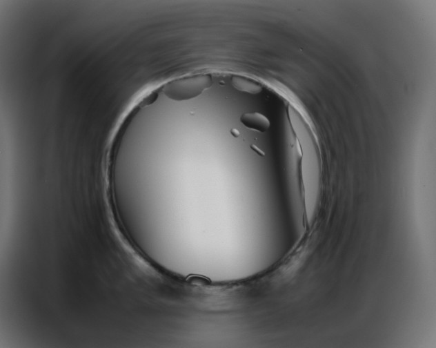 X0000086741005200705041404