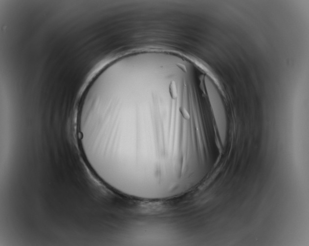 X0000086741006200705041404