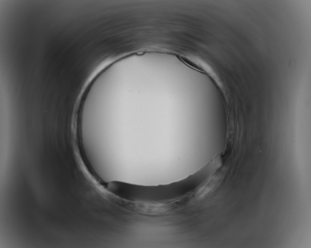 X0000086741007200705041404