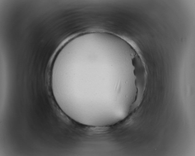 X0000086741008200705041404