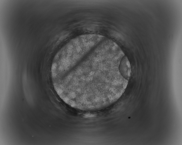 X0000086741009200705041403