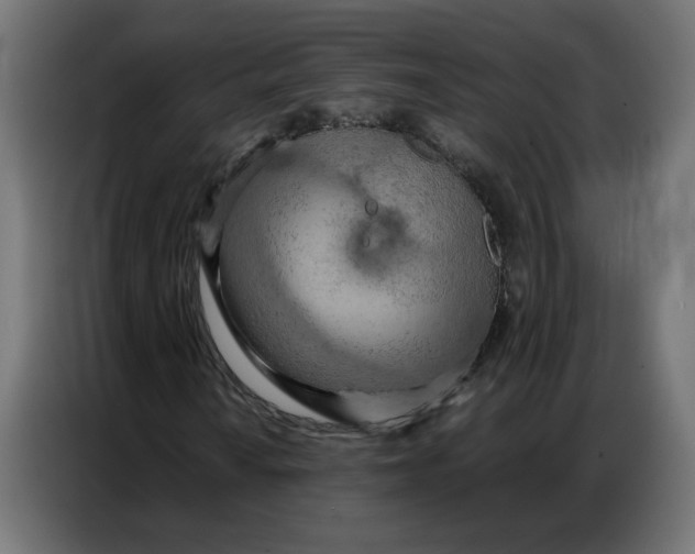 X0000086741010200705041403