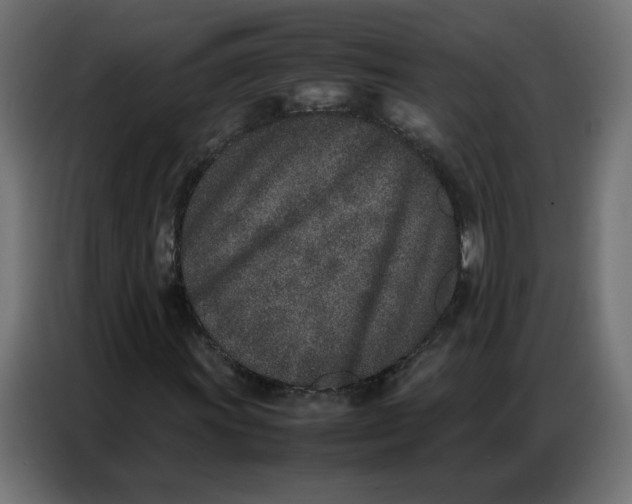 X0000086741011200705041403