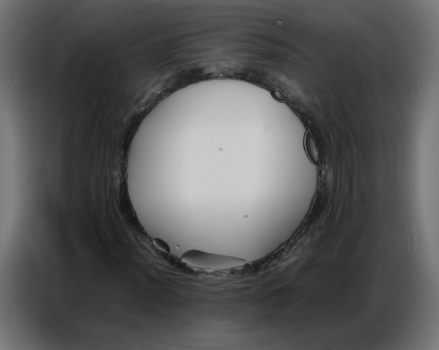 X0000086741012200705041403