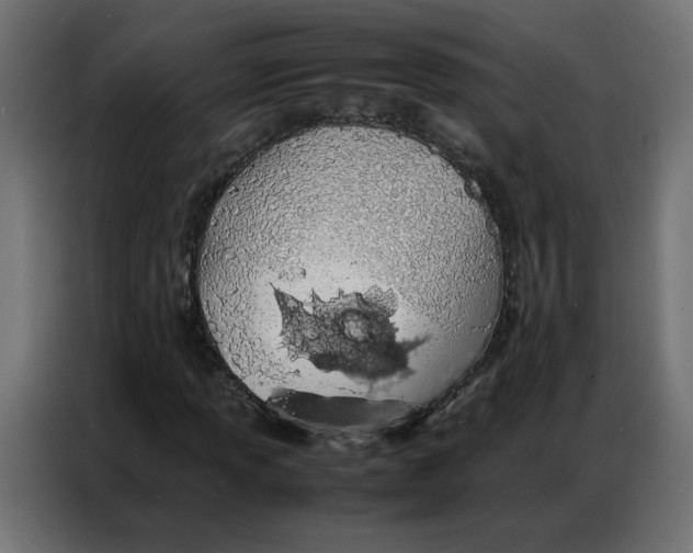 X0000086741013200705041403