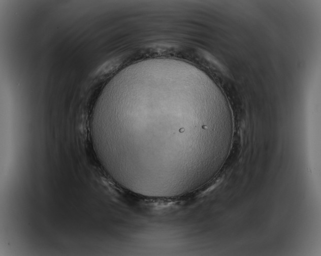 X0000086741014200705041403