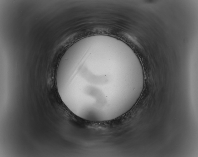 X0000086741015200705041403