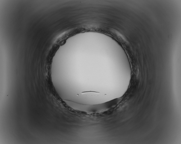 X0000086741016200705041403