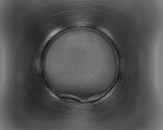 X0000086741018200705041403