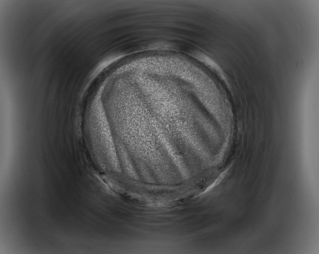 X0000086741019200705041403