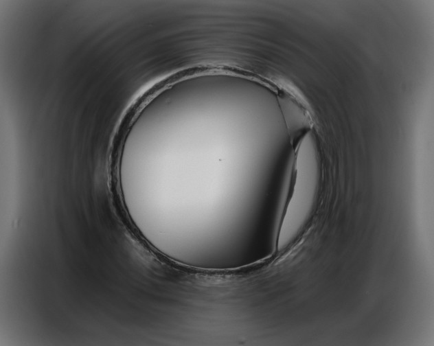 X0000086741020200705041403