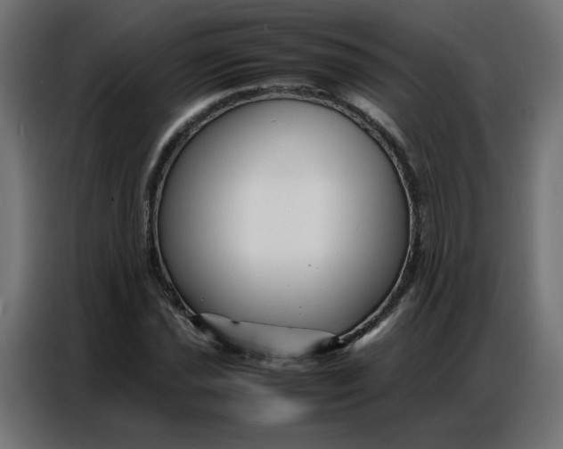 X0000086741021200705041403