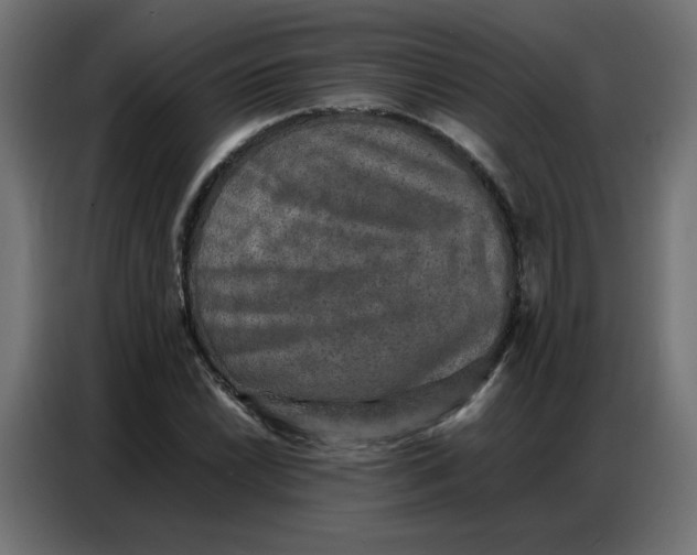 X0000086741022200705041403