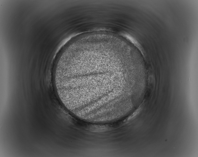 X0000086741023200705041403