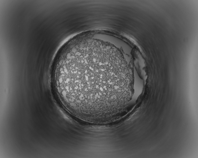 X0000086741024200705041403