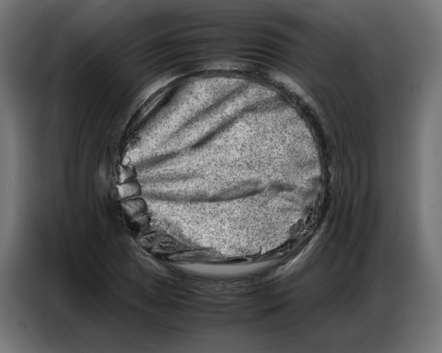 X0000086741025200705041403