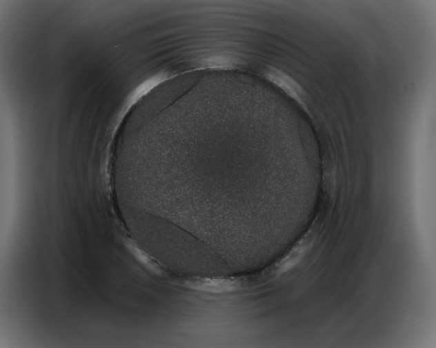 X0000086741026200705041403