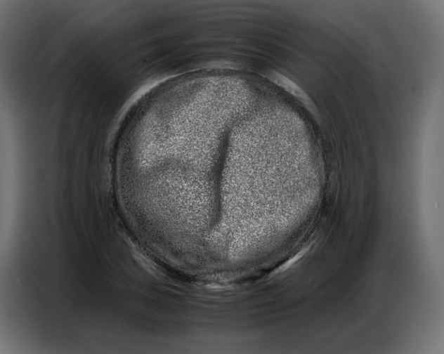 X0000086741027200705041403