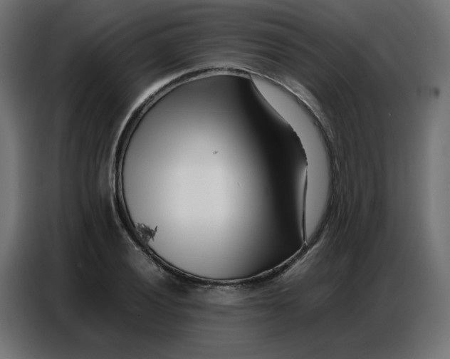 X0000086741028200705041403