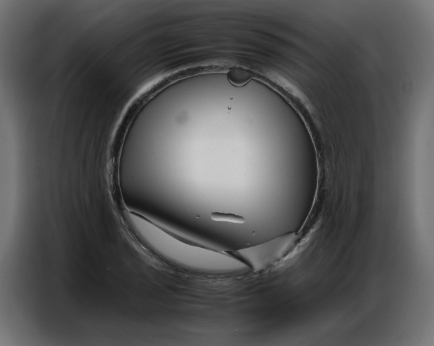 X0000086741029200705041403