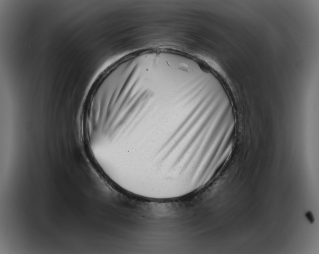 X0000086741032200705041403