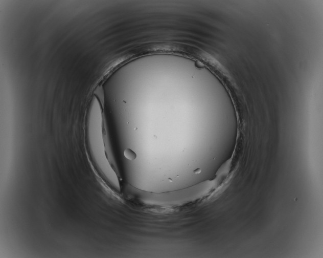 X0000086741033200705041403