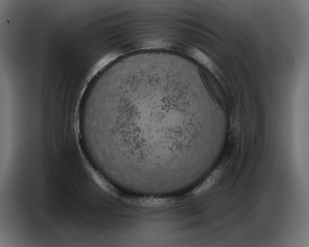 X0000086741034200705041403