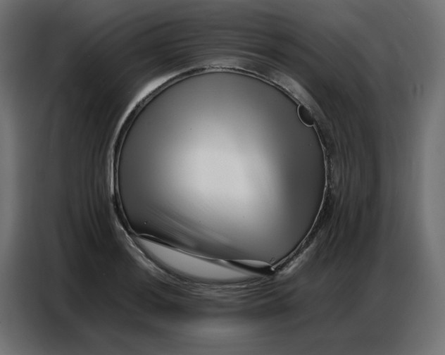 X0000086741036200705041403