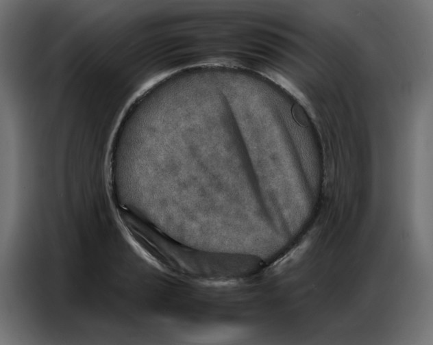 X0000086741037200705041403