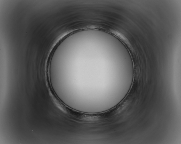 X0000086741039200705041403