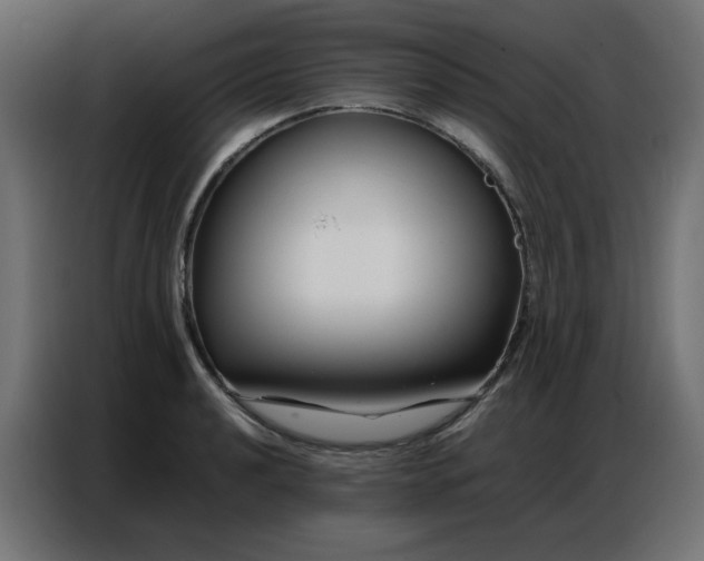 X0000086741040200705041403