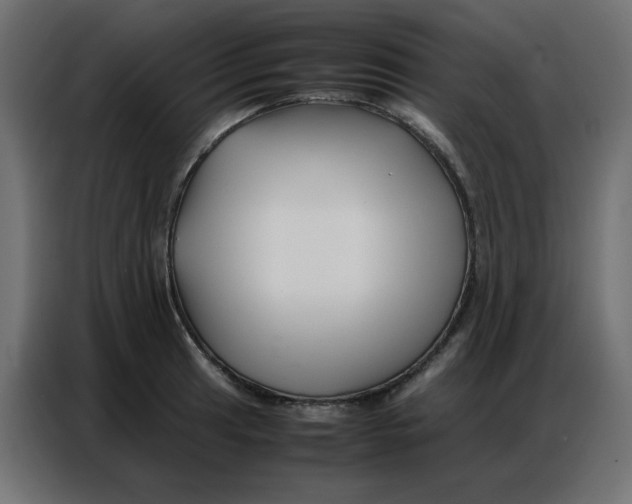 X0000086741041200705041403