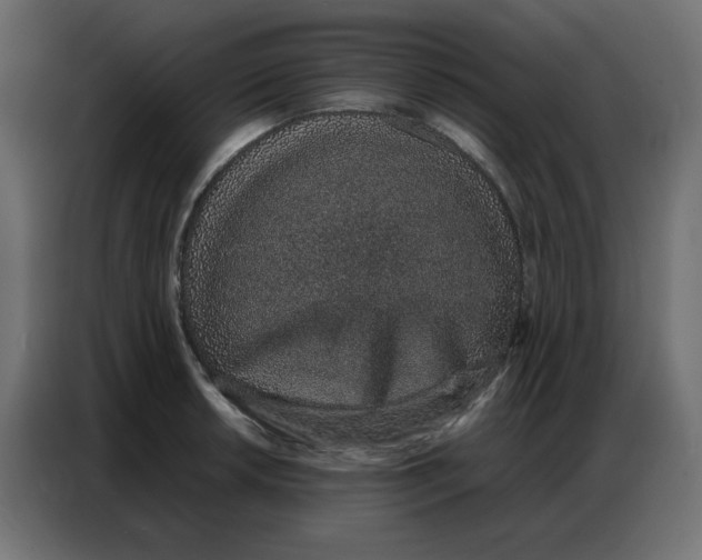 X0000086741042200705041403