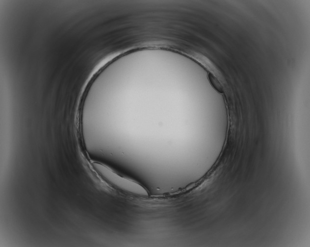 X0000086741044200705041403