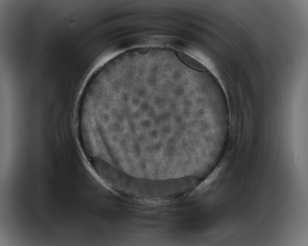 X0000086741045200705041403