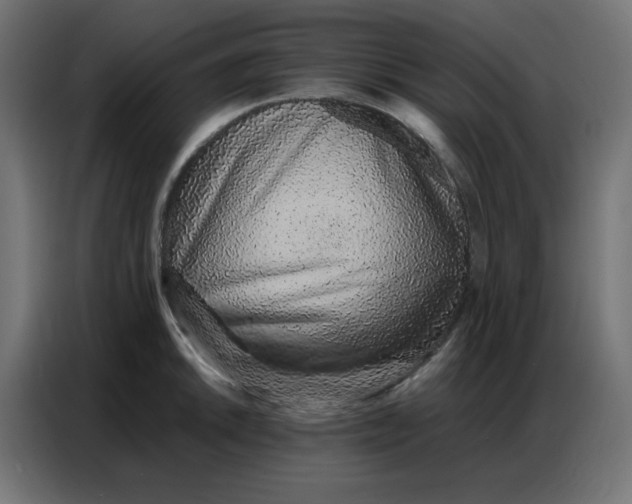 X0000086741046200705041403