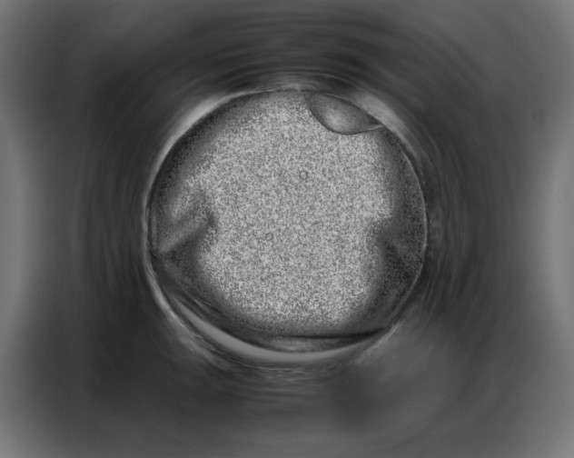 X0000086741047200705041403