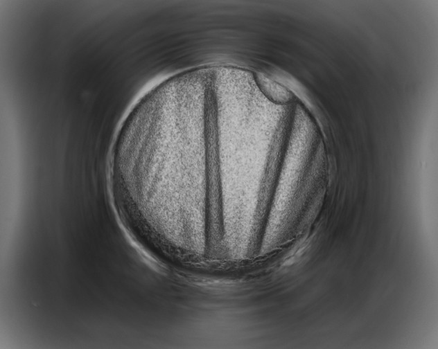 X0000086741048200705041403