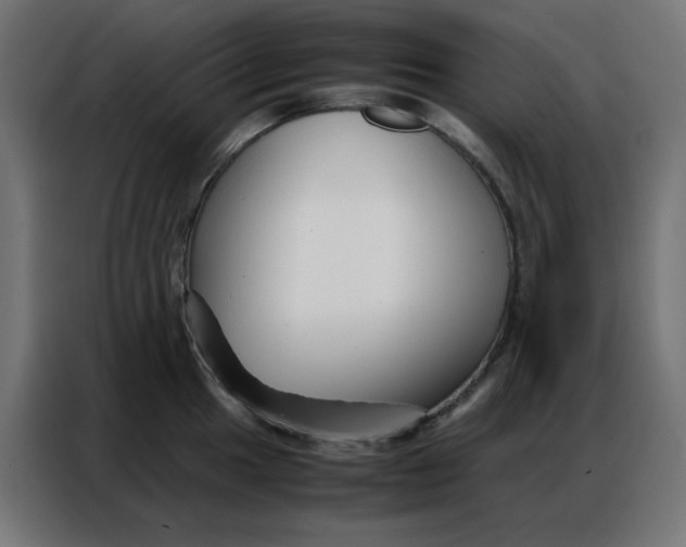 X0000086741049200705041403