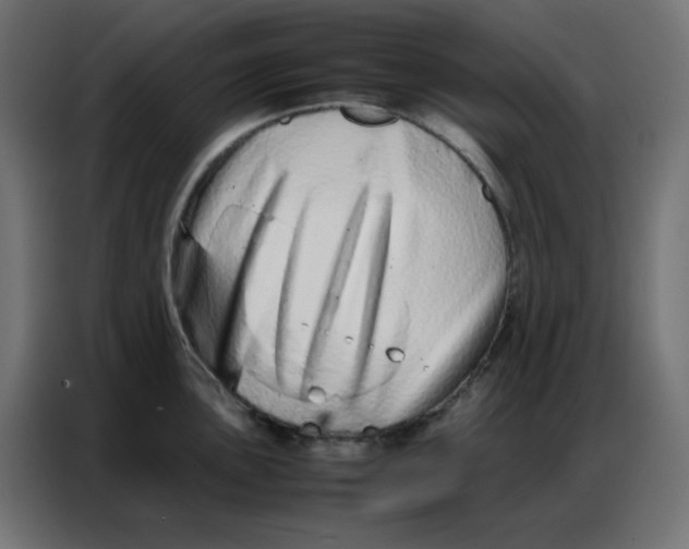 X0000086741051200705041404