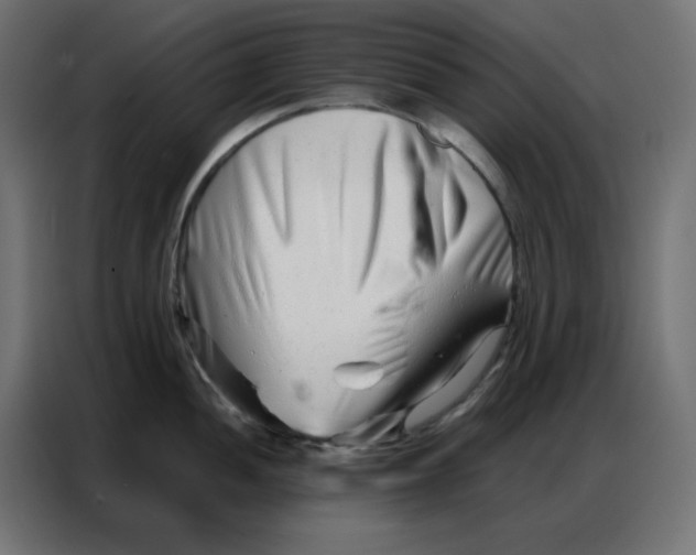 X0000086741052200705041404