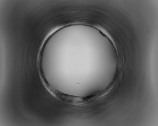 X0000086741053200705041404