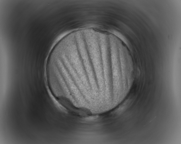 X0000086741055200705041404