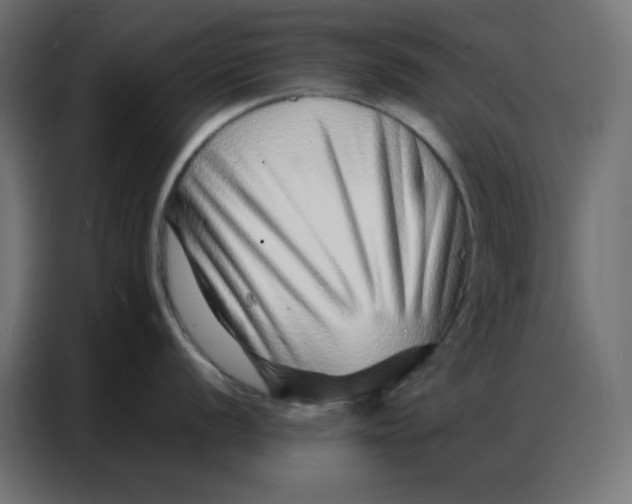 X0000086741056200705041404