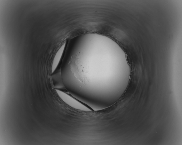 X0000086741058200705041403