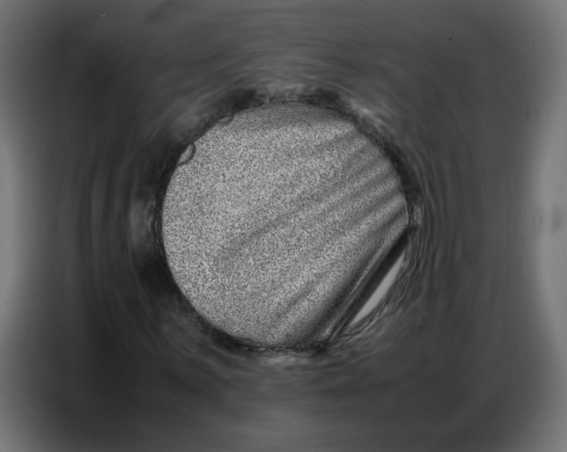 X0000086741059200705041403