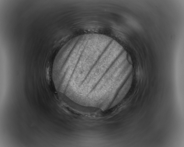 X0000086741060200705041403