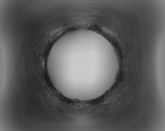 X0000086741061200705041403